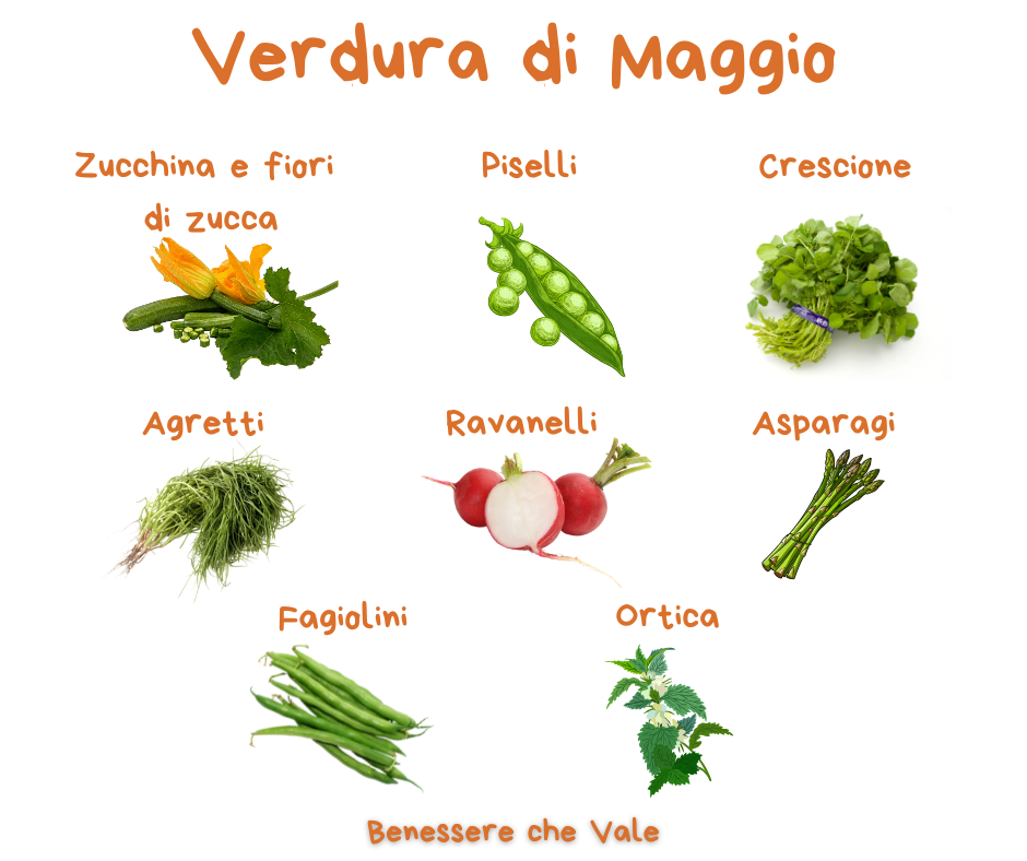 verdura-maggio-di-stagione