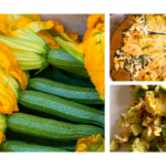 Focus di Agosto: Zucchine e Fiori di zucca