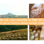 BENESSERE CHE VALE INCONTRA LE ERBE DEI CALANCHI