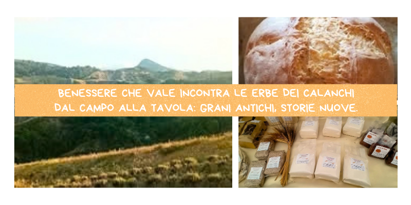 BENESSERE CHE VALE INCONTRA LE ERBE DEI CALANCHI